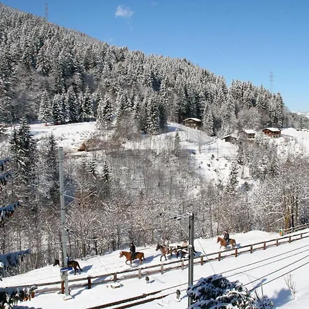 Monami Klosters, Apt. Solavers No 1 Apartment Klosters
